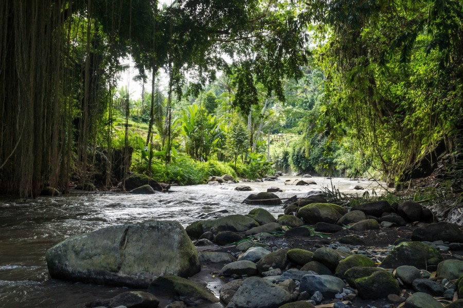 10. Petanu River