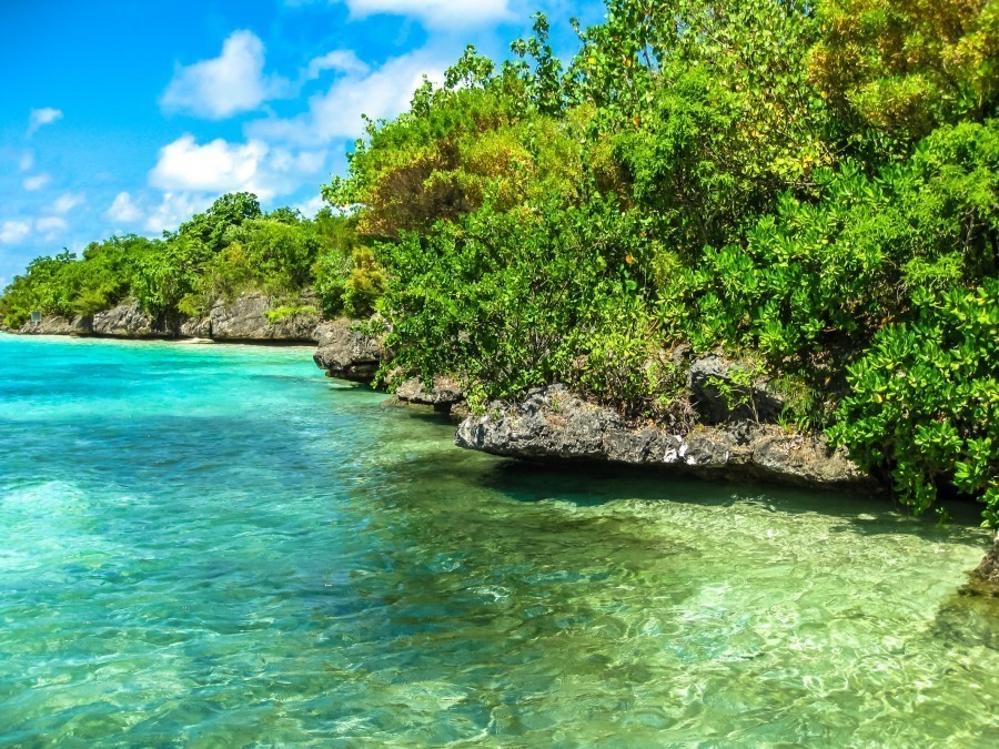 14. L’Île aux Aigrettes : refuge pour la biodiversité endémique