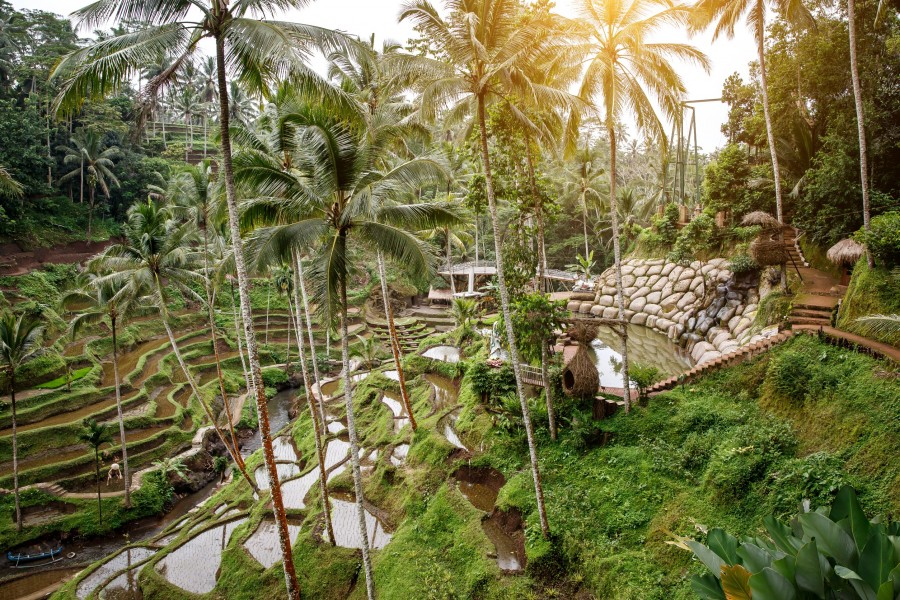 15. Sidemen Valley : région pittoresque avec ses rizières écologiques et une vue Imprenable sur le mont Agung