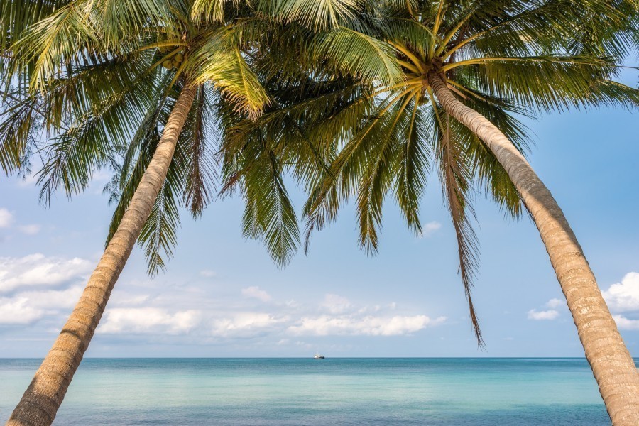 4. L’Île aux Cerfs : escapade paradisiaque pour toute la famille