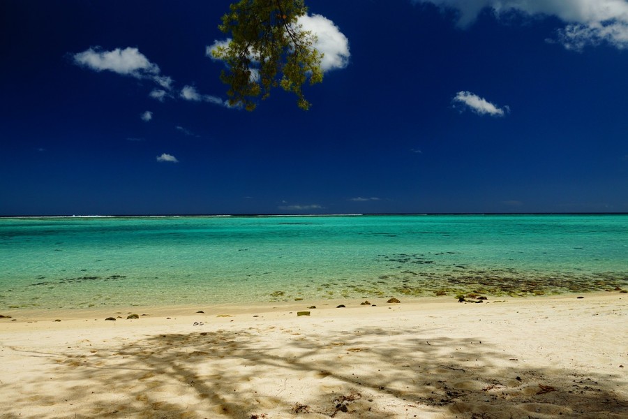 Excursion à l'Île aux Cerfs : paradis insulaire