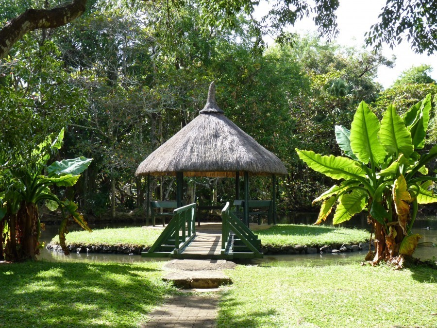 Jardin botanique de Pamplemousses : un trésor végétal