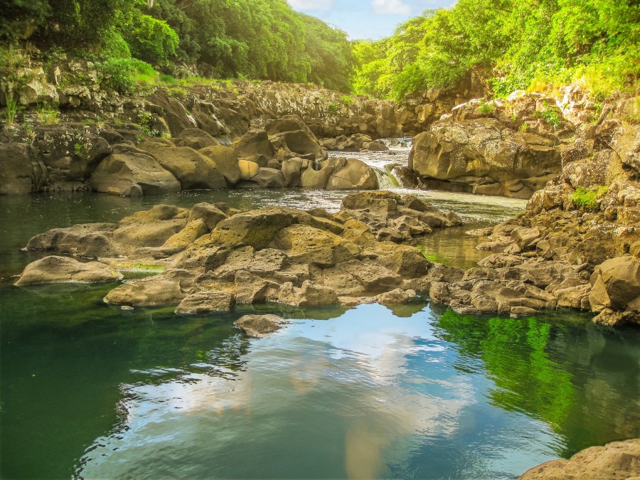 Le parc national des Gorges de la Rivière Noire : un réseau de sentiers