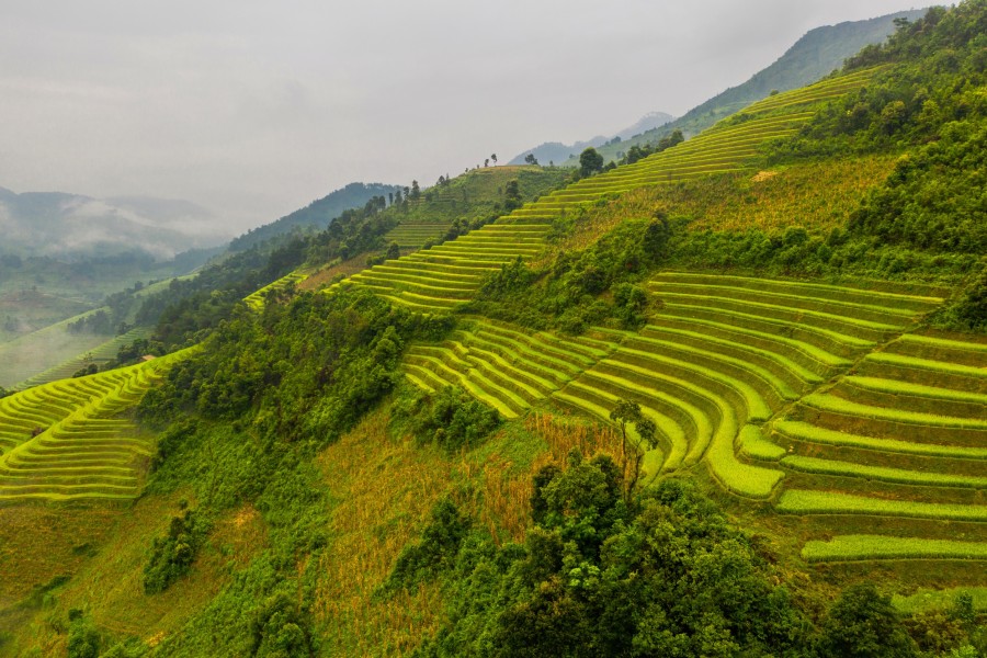 Un aperçu des options de transport à Bali