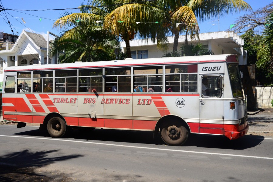 Y a-t-il des bus spécifiques pour les touristes à l’île Maurice ?